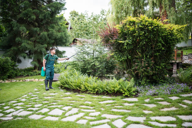 Best Pest Inspection Near Me  in Dansville, NY