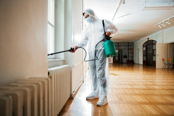 Best Flea Control Services  in Dansville, NY