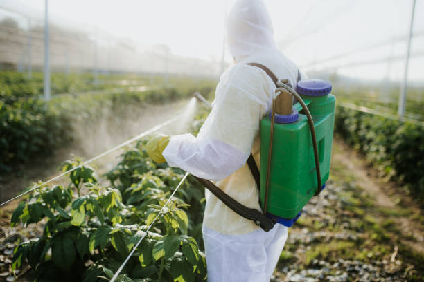 Best Best Pest Control Companies  in Dansville, NY